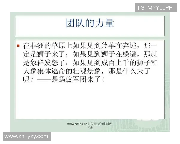 成都排球队团队协作变革引发热议展现集体力量与竞技精神 成都排球队团队协作变革引发热议展现集体力量与竞技精神